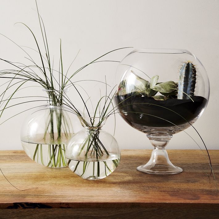 Что кроме цветов можно поставить в вазу. Прозрачные вазы в интерьере. Композиция в круглой вазе. Круглая стеклянная ваза в интерьере. Композиция в стеклянной вазе.